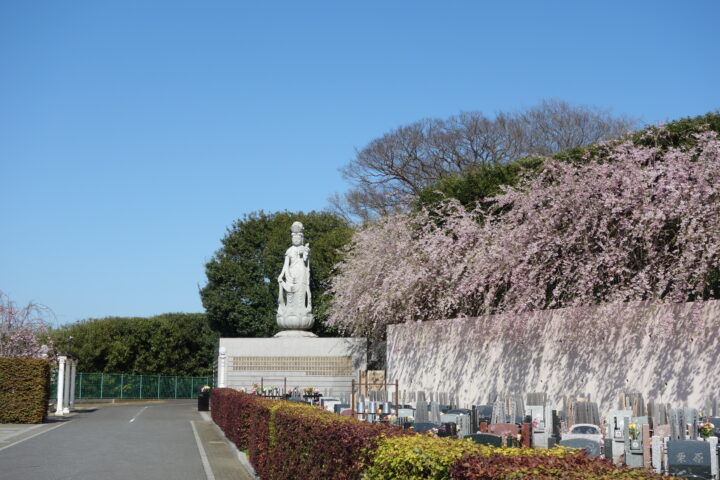 釈迦寺霊園　桜満開の見学会のご案内